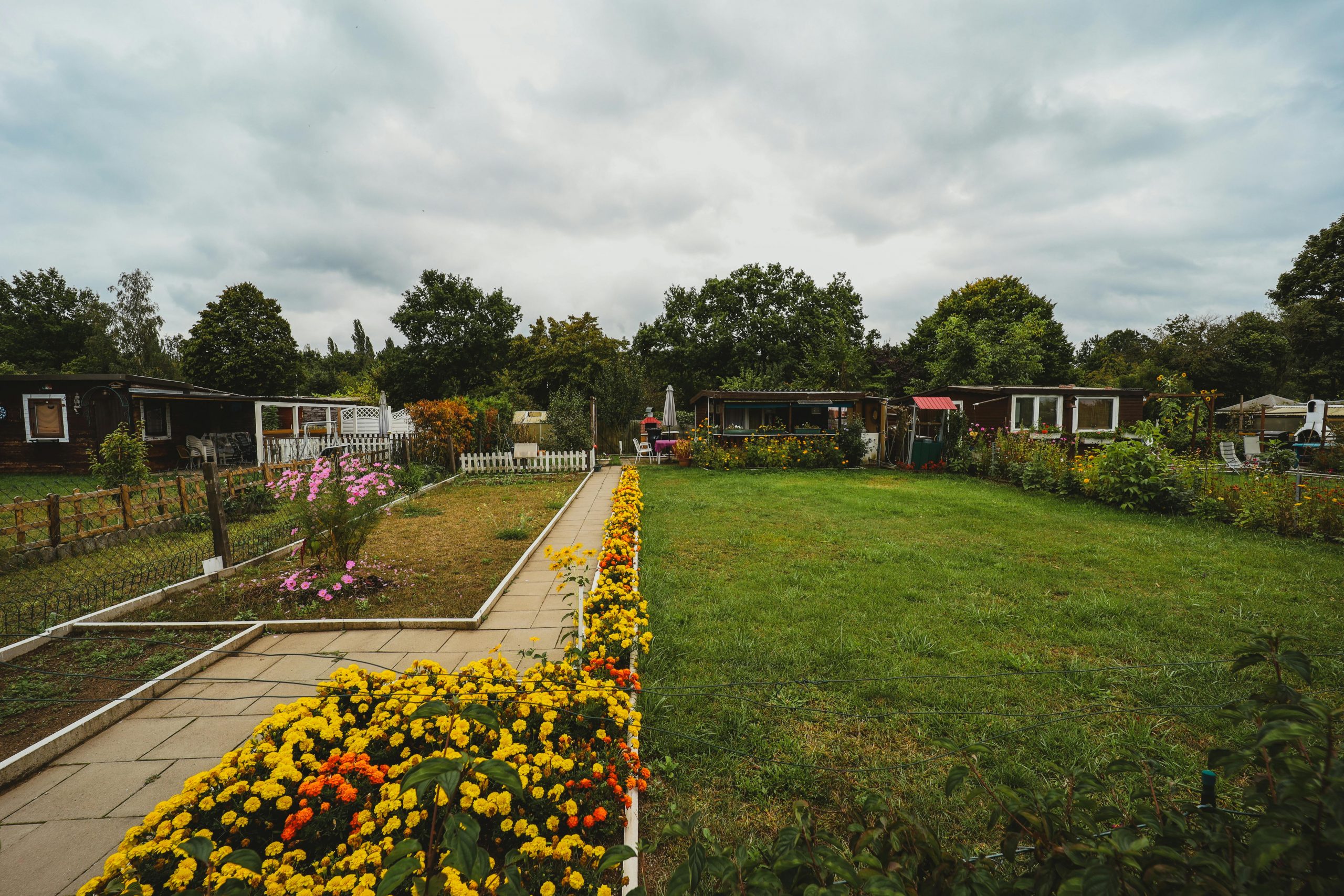 A vibrant garden scene with colorful flowers and greenery, perfect for nature lovers.